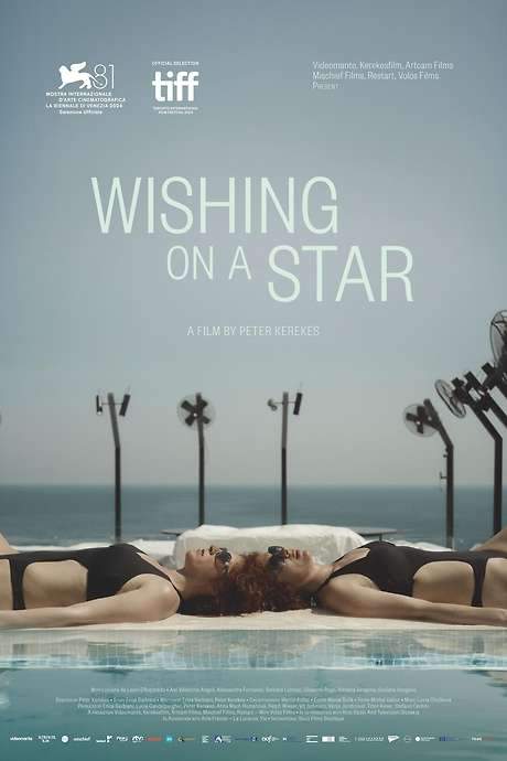 A comedy‑documentary follows Italian astrologist Lucciana, who claims she can rewrite destinies. On their birthdays, participants travel to the Earth spot where planets form the ideal constellation, undergo a symbolic rebirth and hope to reshape their lives. The film intercuts Lucciana’s routine with five seekers’ journeys toward happiness worldwide.